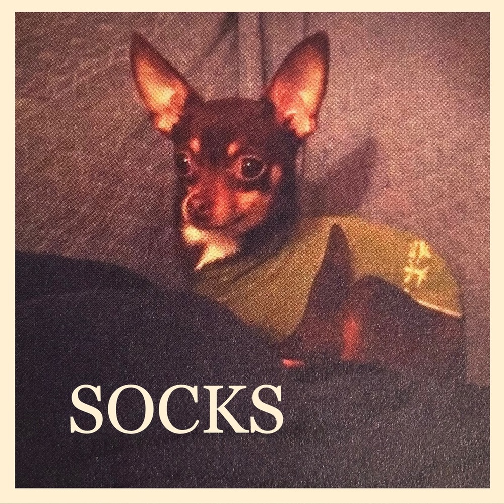 🧦please buy socks🧦